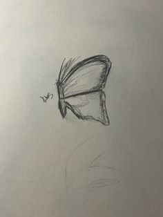 a pencil drawing of a butterfly on a sheet of paper