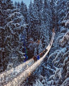 people walking across a suspension bridge in the middle of snow covered trees at night time