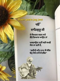 a book with an image of a man playing the guitar next to sunflowers