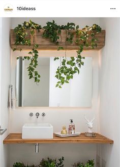 there is a bathroom with plants growing on the wall above the sink, and below the mirror