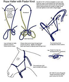 instructions for how to tie a horse's bridle