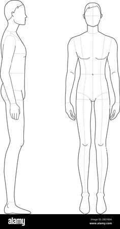 a man's body is shown with the measurements