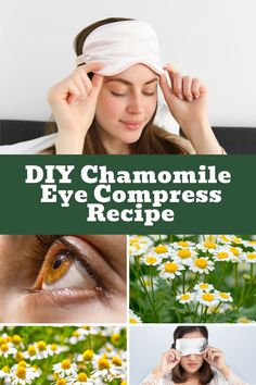 medicinal plants Benefits Of Chamomile, Irritated Eye, Fragrant Garden, Make Beauty, Diy Beauty Hacks