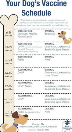 Crate Training Puppy, Puppy Crate, Dog Remedies