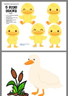 the instructions for how to draw an adorable duck with different colors and sizes, including feathers