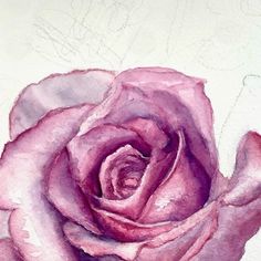 a painting of a pink rose on a white background