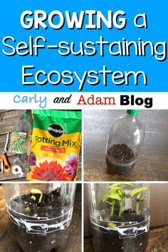 growing a self - sustening eco system and adam blog