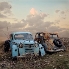 two old cars sitting in the grass with birds flying over them and one is rusting