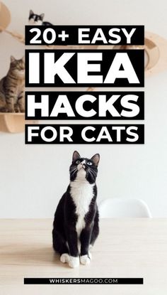 a black and white cat sitting on top of a wooden table with the words 20 easy ikea hacks for cats