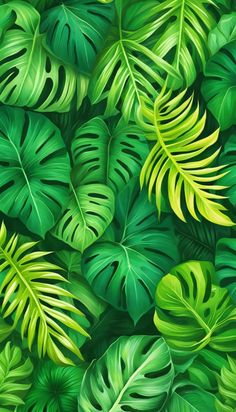 Tropical Leaves Green Cute Aesthetic Background Illustration, Phone wallpaper (iPhone, Android) - Click to download 50+ similar high-resolution images and ideas for free (personal and commercial license)! Leaf Structure And Function, Green Flower Background, Green Plant Wallpaper, Green Cute Aesthetic, Agarbatti Packaging, Green Leaf Painting, Green Background Aesthetic, Wallpaper Iphone Green, Tropical Cakes