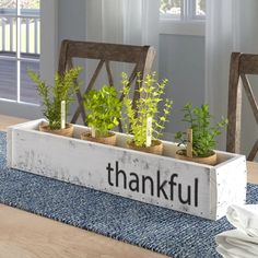 a wooden box filled with plants sitting on top of a blue rug next to a window