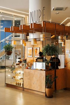 the inside of a store with lots of shelves and plants in it's display cases