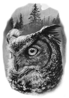 an owl's face is shown in black and white, with trees in the background