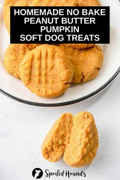 homemade no bake peanut butter pumpkin soft dog treats on a white plate with text overlay