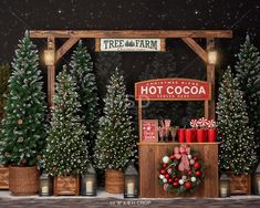 christmas trees are lined up in front of a hot cocoa stand