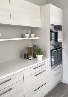 a kitchen with two ovens and white cabinets in the wall, one has a potted plant on it