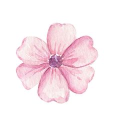 a watercolor painting of a pink flower