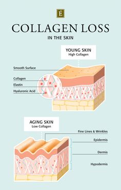 How To Make Your Skin Feel Stronger And Thicker | Eminence Organic Skin Care Skin Anatomy, Eminence Organic Skin Care, Skin Moles, Skin Care Business, Skin Aesthetics, Collagen Benefits, Skin Science, Skin Collagen