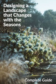 a book cover with the title designing landscape that changes with the season's climate