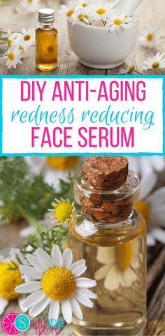 Check out this simple, 4-ingredient DIY redness-reducing anti-aging face serum. Whether your skin is mature or suffering from Rosacea, you'll enjoy the benefits of these oils. #antiaging #skincare #essentialoils #serum #homemade #calming Antiaging Skincare, Anti Aging Face Serum, Creme Anti Age, Anti Aging Creme, Diy Skin Care Recipes, Aging Face, Diy Beauty Recipes