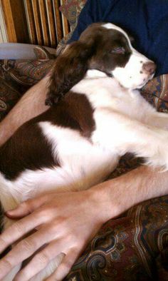 a man laying on top of a couch next to a brown and white dog in his lap