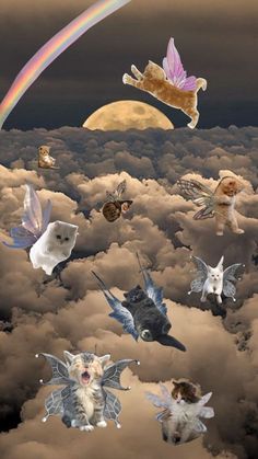 there are many different animals flying in the sky with a rainbow and clouds behind them