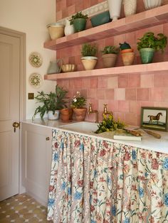 the kitchen counter is covered with potted plants and other decorative items on shelving above it