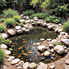 a small pond surrounded by rocks and plants