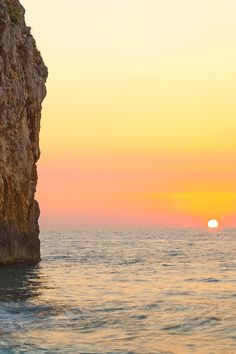 a lone bird sitting on the edge of a cliff overlooking the ocean at sunset or dawn