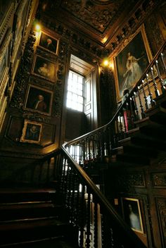 an ornate staircase with paintings on the walls