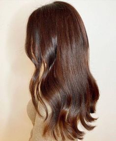 Chocolate Auburn Hair, Hair Pro, Warm Brown Hair, Chestnut Brown Hair, Chocolate Brown Hair Color, Chestnut Hair Color, Brown Hair Looks