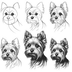 four different types of dogs with their faces drawn in black and white, including one dog's head