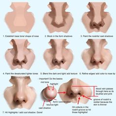 an image of different types of nose shapes