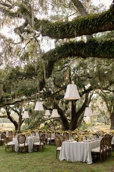 an outdoor dining area with tables, chairs and hanging lamps in front of large oak trees