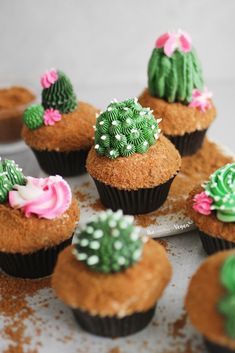 cupcakes decorated with green and pink frosting are arranged on a white plate