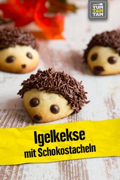 cookies with chocolate chips and sprinkles in the shape of hedgehogs