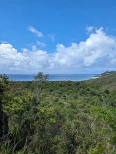 an area with trees, bushes and the ocean in the distance on a sunny day