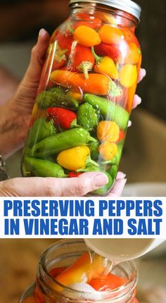 a person holding a jar full of peppers and carrots with text overlay reading preserving peppers in vinegar and salt