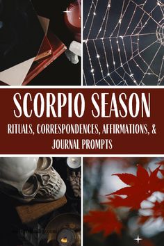 the cover of scorpion season rituals, correspondences, affirmations and journal prompts