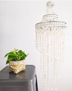 a potted plant sitting on top of a table next to a chandelier