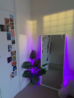 a room with a plant in the corner and purple lights on the wall behind it