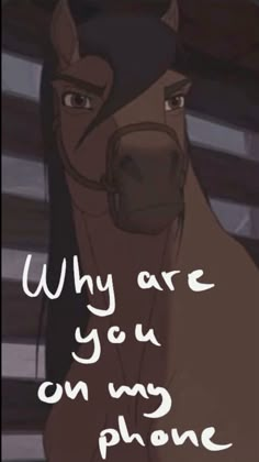 a horse with the words, why are you on my phone?