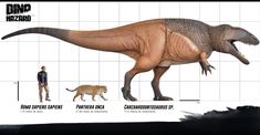 an artist's rendering of a dinosaur and other animals in different stages of development