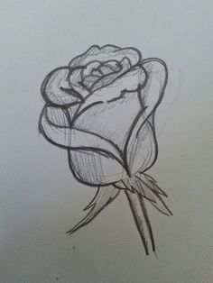 a pencil drawing of a rose on a sheet of paper