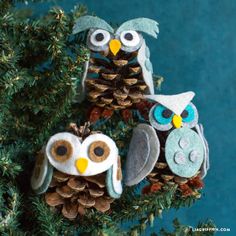 an ornament made out of pine cones and felt owls on a tree branch