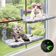 two cats are sitting in their cat tree and one is yawning at the window