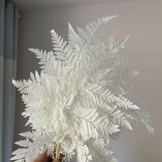 a person is holding a vase with white flowers in it on a window sill