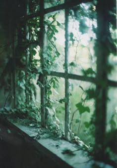 a window with vines growing on it and the words sometimes i still wonder why things happened the way they did