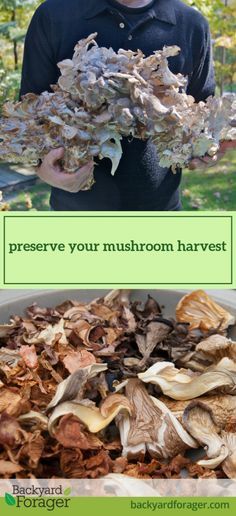 a boy holding up some mushrooms in front of him and the caption below reads preserve your mushroom harvest