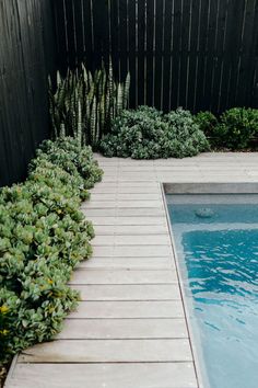 a small pool surrounded by greenery next to a black fence and wooden decking